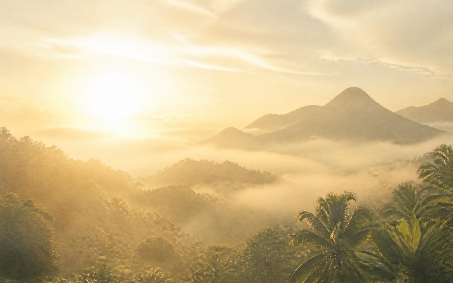 Golden mist over jungle mountains at sunrise